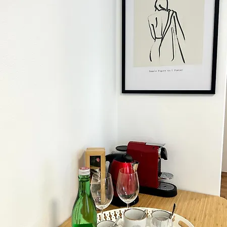 Mirabelle Homes 公寓 萨尔茨堡